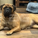 Tequila looking pretty